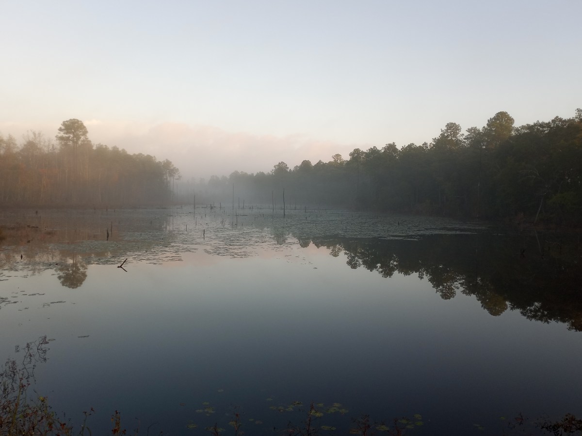 Grateful in the&nbsp;Panhandle