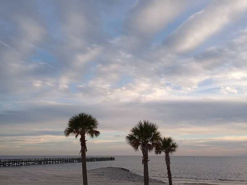 Sunshine, Cotton, and&nbsp;Magnolias