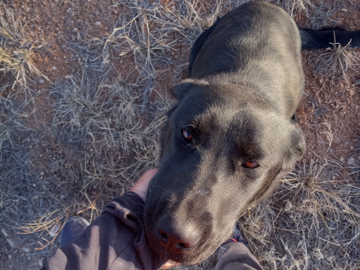 Walkin’ West Texas